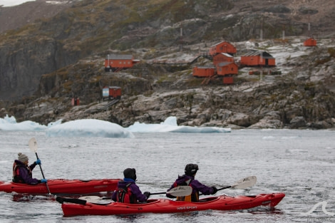 PLA32-20, Day 08, 16 March, pippalow-8913 - Oceanwide Expeditions.jpg