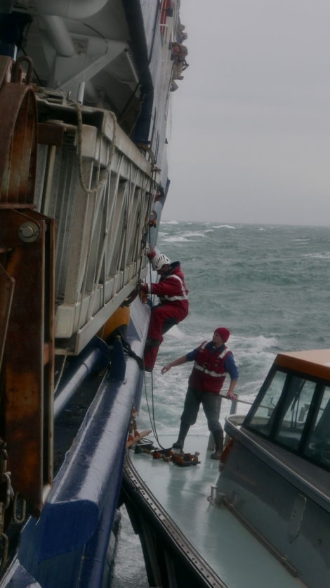 OTL28-20, 16 Feb, Pilot climbing down rope ladder to boat, Victoria Salem - Oceanwide Expeditions.JPG