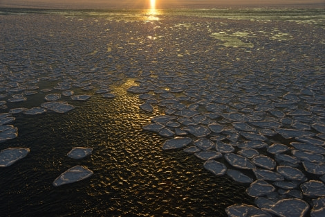 OTL28-20, 20200229-Gary-sunset pancakes Gary Miller - Oceanwide Expeditions.JPG