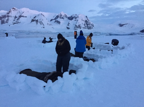 Camping bivy bags, Antarctica open air © Rustyn Mesdag - Oceanwide Expeditions (6).jpg