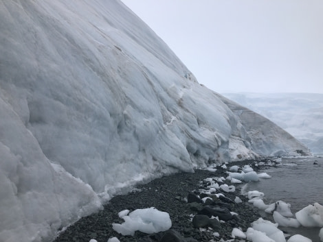 PLA32-20, Day 08, 16 March, 21 Mal Haskins Mikelson Bay - Oceanwide Expeditions.JPG