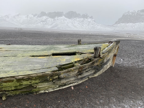 PLA32-20, Day 09, 17 March, Shipwreck WB Whalers Bay, Dorette Kuipers - Oceanwide Expeditions.jpg