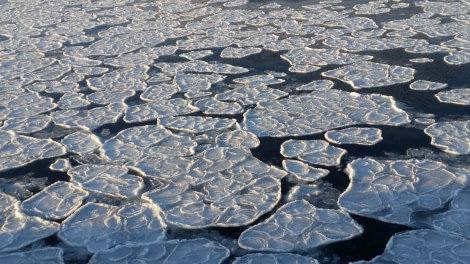 OTL28-20, 20200301-Gary-pancake ice-Mcmurdo Sound Gary Miller - Oceanwide Expeditions.jpg