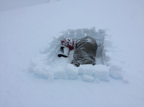 Camping bivy bags, Antarctica open air © Rustyn Mesdag - Oceanwide Expeditions (10).jpg