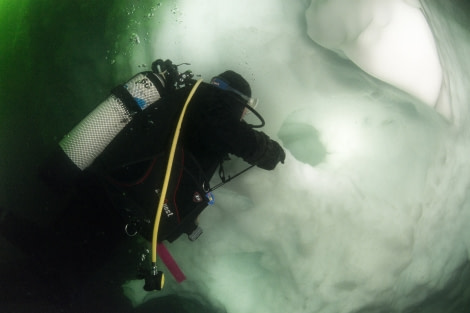 6 Iceberg Diving Antarctica © Peter de Maagt-Oceanwide Expeditions_DSC1191ed.jpg