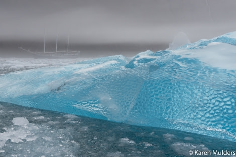 Scoresby Sund, Borgvik blue iceberg with Rembrandt van Rijn in fog © Karen Mulders - Oceanwide Expeditions.jpg