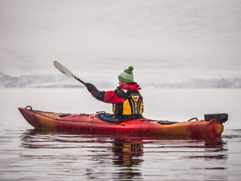 Antarctic kayaking © Dietmar Denger - Oceanwide Expeditions (2).jpg