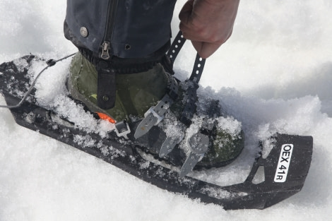 Snowshoeing in Antarctica © Joerg Ehrlich - Oceanwide Expeditions (2).jpg