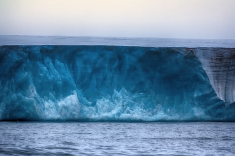Glacier_Bear-Rudolph-island.jpg Glacier_Bear-Rudolph-island.jpg