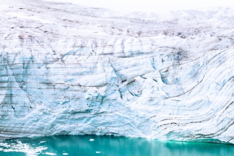 Glacier_Bear-Rudolph-island-02.jpg Glacier_Bear-Rudolph-island-02.jpg