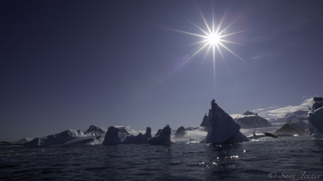 Yalour Islands icebergs © Sara Jenner - Oceanwide Expeditions (1).jpg