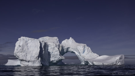 Yalour Islands icebergs © Sara Jenner - Oceanwide Expeditions (2).jpg