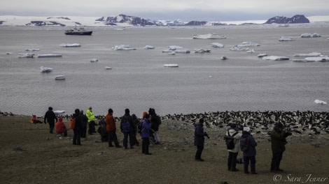 Landing on Devil Island with view to Erebus & Terror Gulf © Sara Jenner - Oceanwide Expeditions (2).jpg