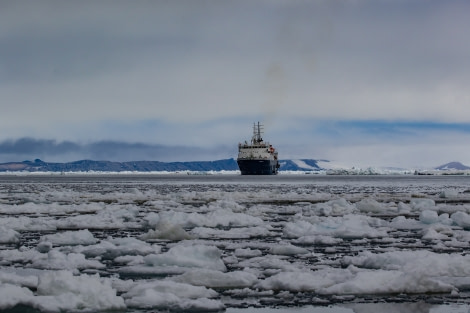 Ortelius in Erebus and Terror Gulf © Pippa Low - Oceanwide Expeditions.jpg