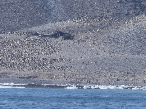 View from Erebus & Terror Gulf to Larsen's hut on Paulet Island © Unknown photographer - Oceanwide Expeditions.JPG