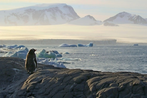 View to Erebus & Terror Gulf © Regis Perdriat - Oceanwide Expeditions (1).jpg