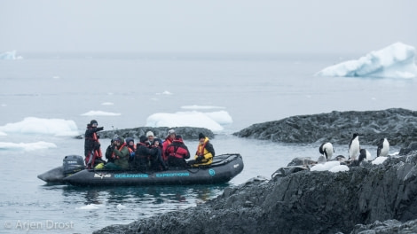 Zodiac cruise, Kinnes Cove © Arjen Drost, Natureview - Oceanwide Expeditions.jpg