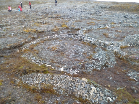 Geology, Polygons, St. Jonsfjorden, Svalbard © Frigga Kruse - Oceanwide Expeditions.jpeg