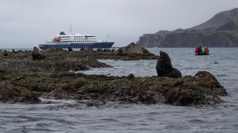 HDSEC-21, Day 14_Right Whale Bay 3 - Oceanwide Expeditions.jpg