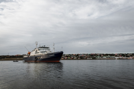 PLAEC-21, Day 18, Stanley, Falkland Islands © Unknown Photographer - Oceanwide Expeditions.jpg