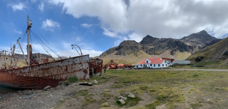 PLAEC-21, Day 14, Grytviken, South Georgia © Unknown Photographer - Oceanwide Expeditions.jpg