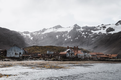 PLAEC-21, Day 14, Stromness © Unknown Photographer - Oceanwide Expeditions (1).jpg