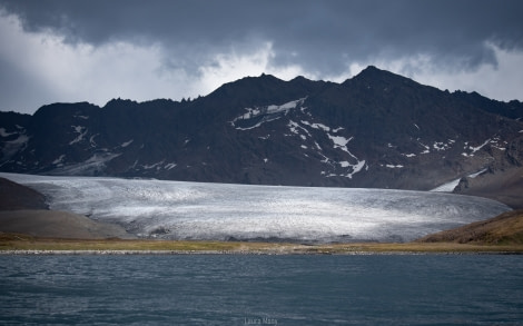 PLAEC-21, Day 13, St Andrews Bay, South Georgia © Laura Mony - Oceanwide Expeditions.jpg