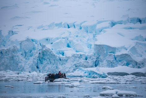 PLAEC-21, Day 6, Paradise Bay © Laura Mony - Oceanwide Expeditions.jpg