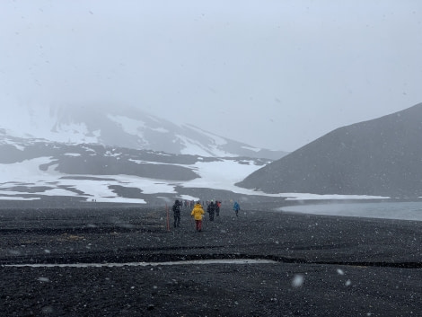 PLAEC-21, Day 4, Deception Island © Unknown Photographer - Oceanwide Expeditions.jpg