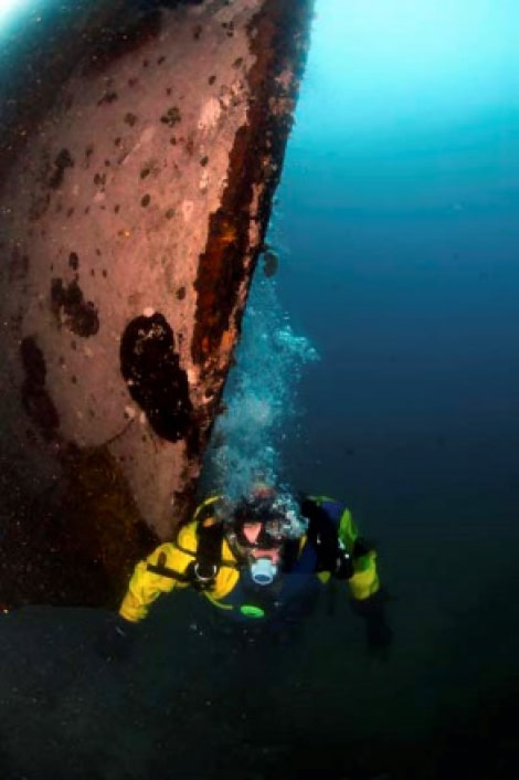 PLA24-21, Day 8, Guvernoren wreck, Foyn Harbour © Unknown Photographer - Oceanwide Expeditions (2).jpg