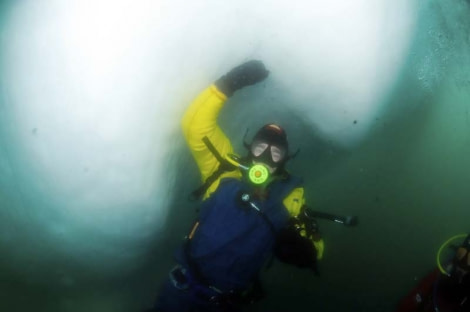 PLA24-21, Day 5, Diver, Neko Harbour © Unknown Photographer - Oceanwide Expeditions.jpg