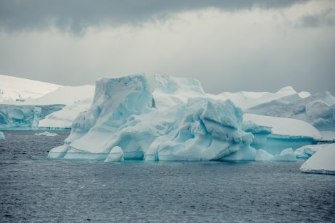 PLA24-21, Day 5, Iceberg, Cuverville Island © Unknown Photographer - Oceanwide Expeditions.jpg