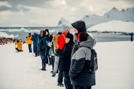 PLA24-21, Day 5, Cuverville Island © Unknown Photographer - Oceanwide Expeditions (1).jpg