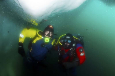 PLA24-21, Day 5, Dive buddies, Neko Harbour © Unknown Photographer - Oceanwide Expeditions.jpg