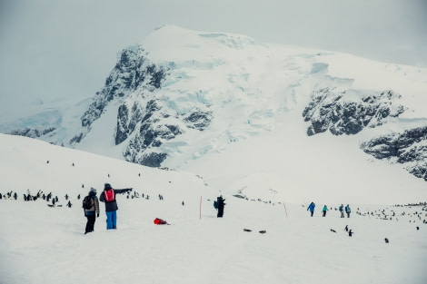 PLA24-21, Day 5, Cuverville Island © Unknown Photographer - Oceanwide Expeditions.jpg