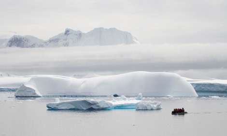 HDS23-21, Day 4, Zodiac cruising, Cuverville © Felicity Johnson - Oceanwide Expeditions.JPG