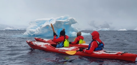 HDS23-21, Kayak past tiny berg 19 Dec © Keirron Tastagh - Oceanwide Expeditions.jpeg