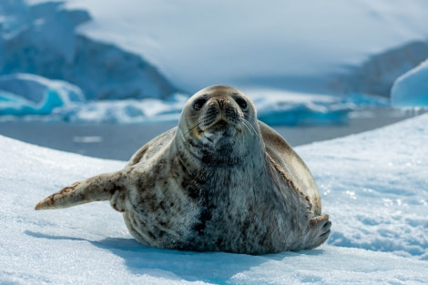 HDS24-21_Day 6_EZE_3151 © Oceanwide Expeditions.jpg