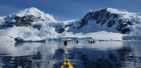 HDS24-21_Kayaking, Cuverville_20211229_152852 © Oceanwide Expeditions.jpg
