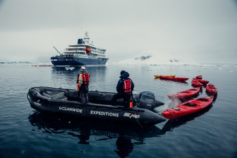 HDS24-21_Day 4, Kayaking, Danco Island__Q9A5493 © Oceanwide Expeditions.jpg