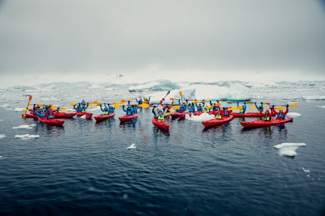 HDS24-21_Day 4, Kayaking, Danco Island__Q9A5539 © Oceanwide Expeditions.jpg