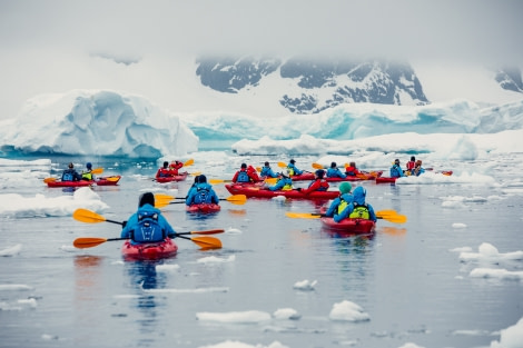 HDS24-21_Day 4, Kayaking, Danco Island__Q9A5789 © Oceanwide Expeditions.jpg