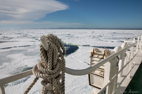 HDS01-22_Day 5 Pack ice 7 © Sara Jenner - Oceanwide Expeditions.jpg