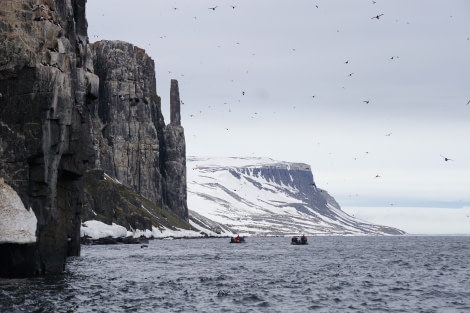 OTL04-22, Day 5, Alkefjellet © Stefanie Liller - Oceanwide Expeditions.JPG