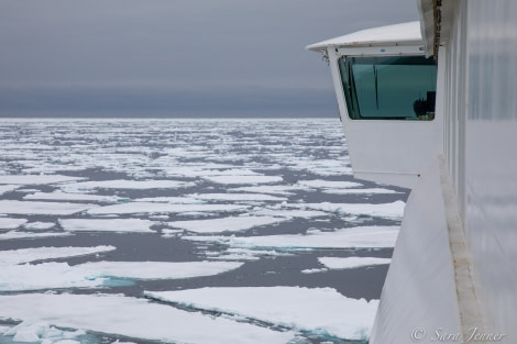 HDS03-22, Day 5, Pack Ice 1 © Sara Jenner - Oceanwide Expeditions.jpg