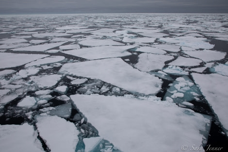 HDS03-22, Day 5, Pack Ice 2 © Sara Jenner - Oceanwide Expeditions.jpg