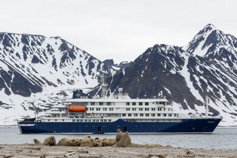 HDS04-22, Day 3, Hondius, Smeerenburg, Walrus © Sara Jenner - Oceanwide Expeditions (1).jpg