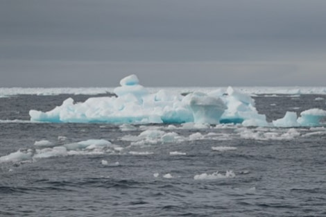 PLA04-22, Day 6, In the pack ice © Unknown Photographer - Oceanwide Expeditions.jpg