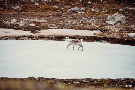 OTL05-22, Day 2 _Q9A3421 © Juan Martin Berenstein - Oceanwide Expeditions.jpg