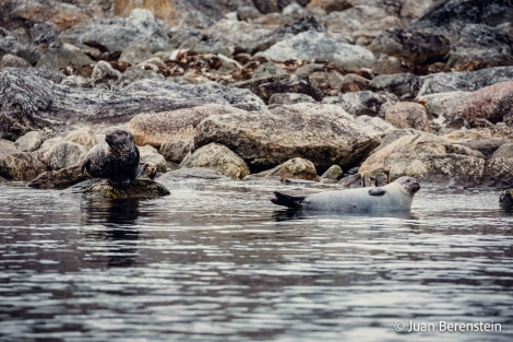 OTL05-22, Day 3 _Q9A3555 © Juan Martin Berenstein - Oceanwide Expeditions.jpg